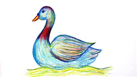 Realistic Duck Drawing at PaintingValley.com | Explore collection of Realistic Duck Drawing