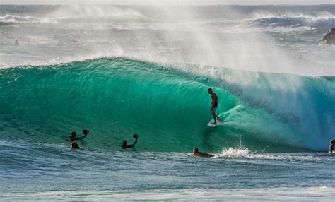 Best Surf Documentaries: 8 Films to Inspire You - Cool of the Wild