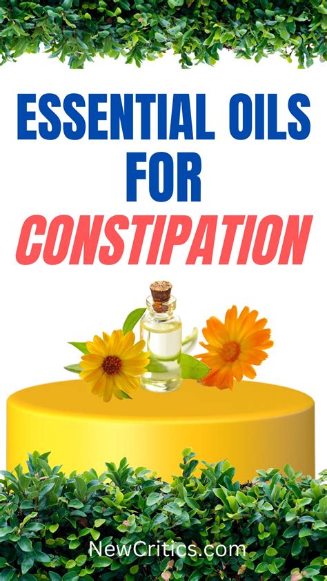 Essential Oils For Constipation : NewCritics