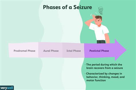 The Postictal Phase of a Seizure