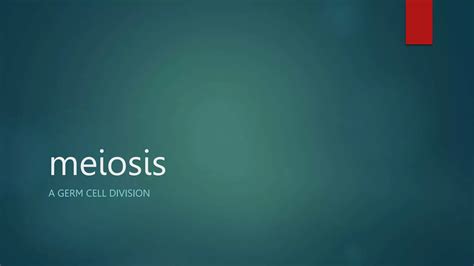 Mitosis | PPT