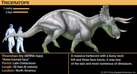 Triceratops | Description, Size, Fossil, Diet, & Facts | Britannica