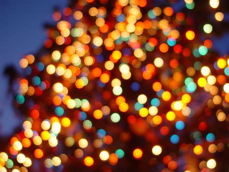 Archivo:Xmas lights DC.JPG - Wikipedia, la enciclopedia libre