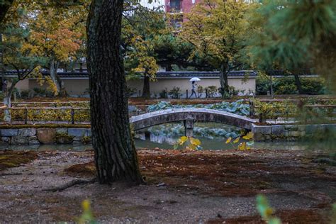 The Rainy Season in Japan: What to Expect