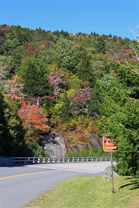 Photo taken October 9, 2016 along the Blue Ridge Pkwy near Blowing Rock. Beautiful fall color is ...