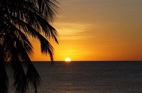 Sunset at Arashi Beach, Aruba | Travel photos, Sunset, Aruba