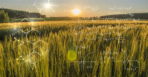 Whose Farm Is More Sustainable? Calculating Farm Sustainability. - DTN