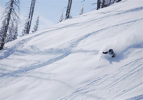 Blue Light Blinking: Bridger Bowl’s Unique Snow Report System - SnowBrains