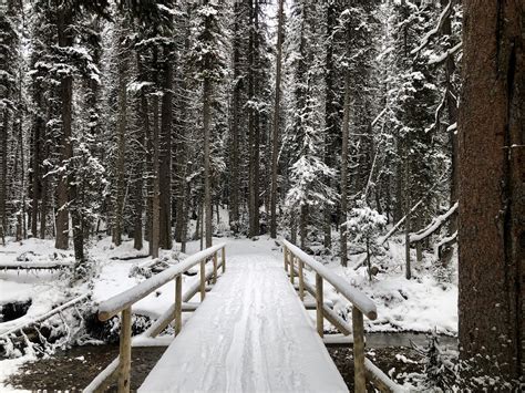 Kananaskis Retreat: Relaxing Winter Getaway in the Rocky Mountains ...