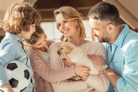 8 Things to Consider When Choosing A Family Pet - Prim Mart