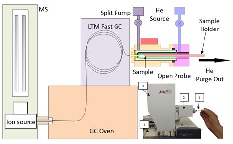 [DIAGRAM] Gc Ms Diagram - MYDIAGRAM.ONLINE