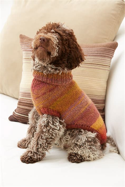 Proud Puppy Dog Sweater Pattern (Knit) – Lion Brand Yarn