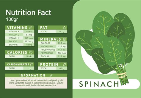 15 Reasons Why Spinach Is Called A Superfood