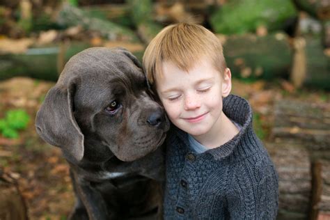 Dogs Have A Calming Effect On Kids, A New Study Finds - DodoWell - The Dodo