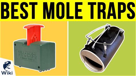 8 Best Mole Traps 2019 - YouTube