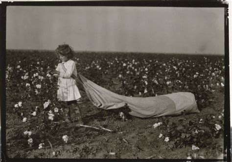 Cotton Picker by Lewis Hine 1916 - Odbitka żelatynowo-srebrowa – Wikipedia, wolna encyklopedia ...