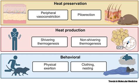 Consideration of the importance of measuring thermal discomfort in biomedical research: Trends ...