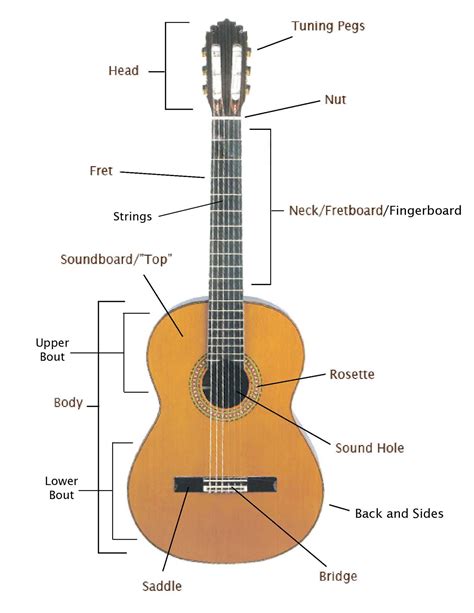 Diagram Of Guitar Parts