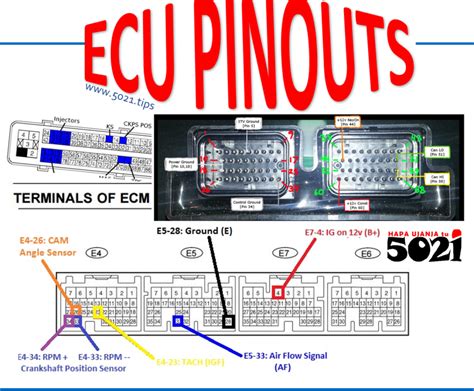 P06 Ecu Wiring Diagram
