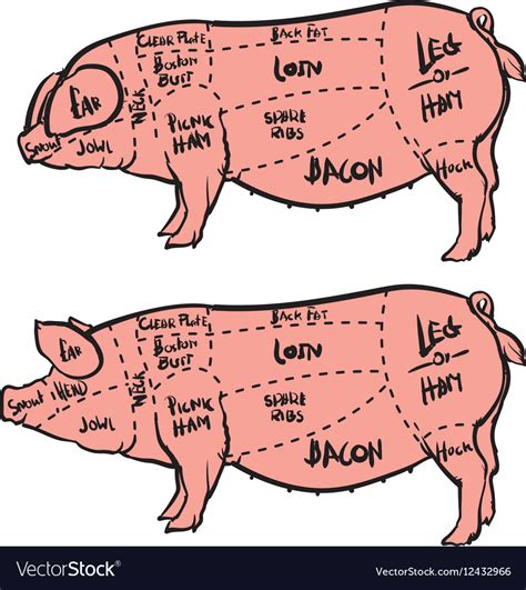 Pig Butcher Diagram