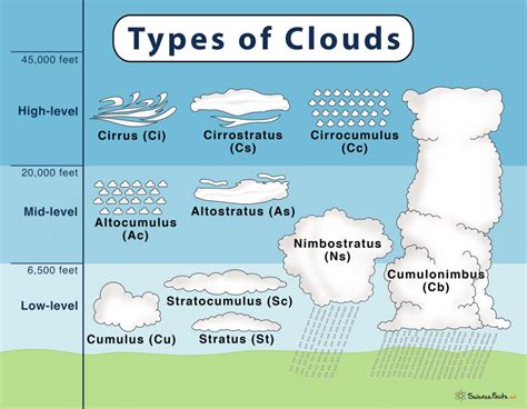 Types Of Clouds Diagram