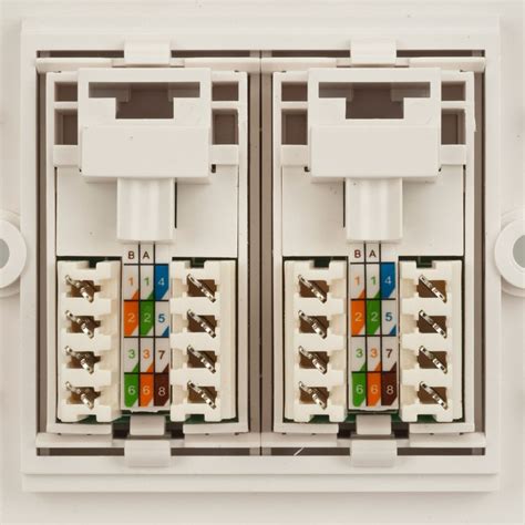 Wiring Ethernet Wall Socket