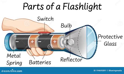 basic flashlight diagram 
