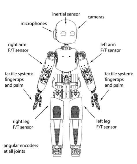 crow t robot diagram 