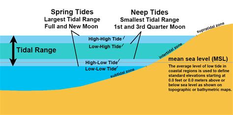 diagram of tidal range 