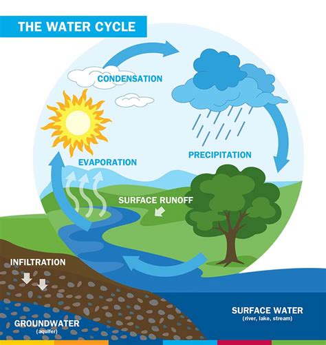 explanation of water cycle with the help of diagram 