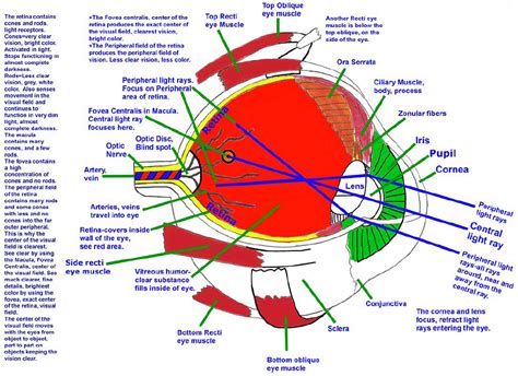 eye diagram and functions above view 