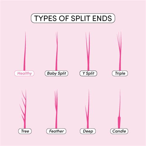 split end diagram 