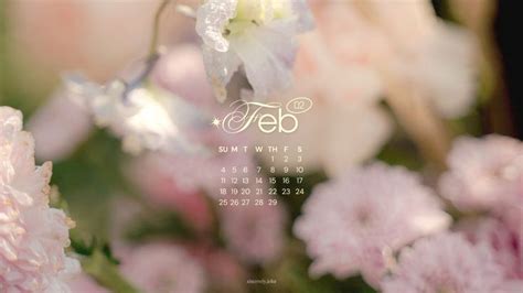 February Laptop Desktop Wallpaper By Sincerely Jehn Desktop