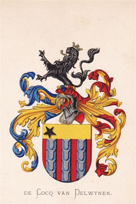 Coco Van Delwynen Emblem Coat Of Arms Blason Nederland Heraldry EBay