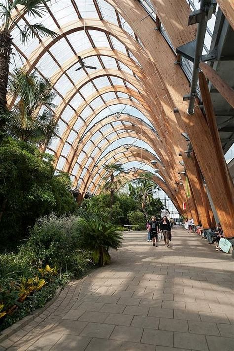 Winter Garden Sheffield Yorkshire Garden Architecture Sheffield