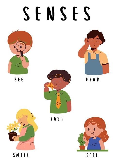 Educational poster senses | Learning english for kids, Education poster ...