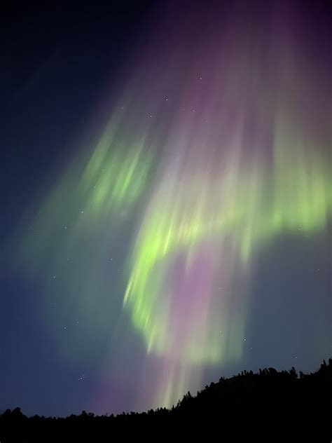 Northern Lights Tour By Car In Alta