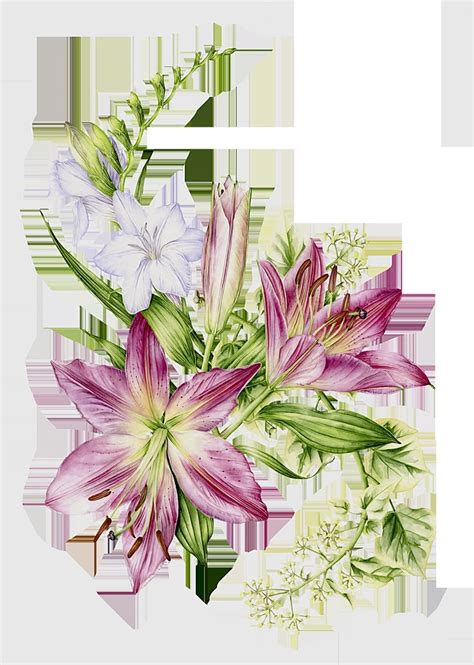 Pin By K S Collection On Flowers Flower Drawing Flower Art Painting