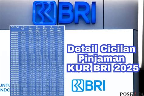 Simak Detail Cicilan Pinjaman Kur Bri Begini Tips Jitu Agar