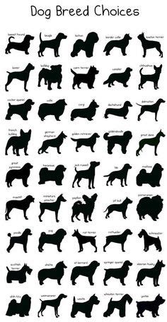 Perros En Pinterest