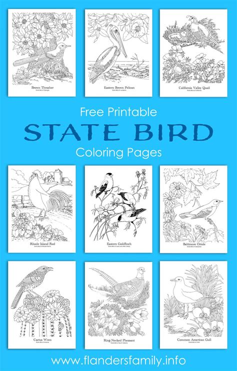 State Bird Coloring Pages Free Printable Bird Coloring Pages