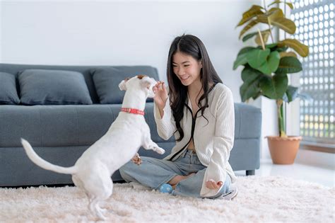 pet insurance   philippines