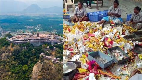 palani news  tamil latest palani tamil news updates
