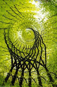 Pin van Simone Christensen op A R T | Fotografie inspiratie, Kunst