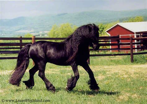 @helpful-unit-converter on Tumblr 