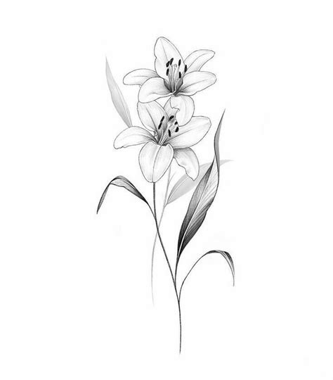 Pin By User On T A T T O O Lily Flower Tattoos Tattoos