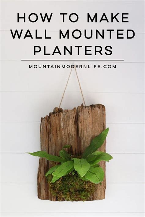 DIY Cork Bark Wall Planter MountainModernLife Hanging Plants