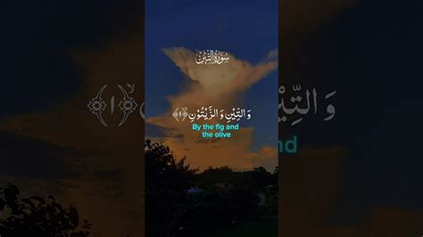 Sura Tin Surah Islamicvideo Subhanallah Youtube