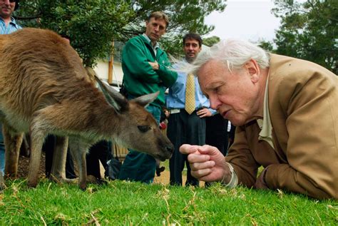 LEGO updates iconic ‘4-99+’ age label to celebrate David Attenborough’s