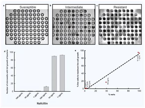 Rapid Antibiotic Sensitivity Testing In Microwell Arrays PMC